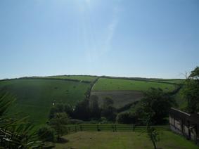 View from the Bedoom