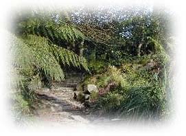 Lost Gardens of heligan